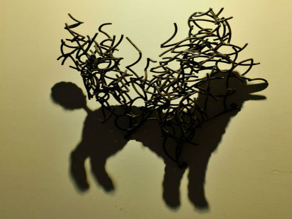 ನಿಮ್ಮನ್ನು ಬೆರಗುಗೊಳಿಸುವ ಶ್ಯಾಡೋ ಚಿತ್ರಗಳು ನಿಮ್ಮನ್ನು ಬೆರಗುಗೊಳಿಸುವ ಶ್ಯಾಡೋ ಚಿತ್ರಗಳು