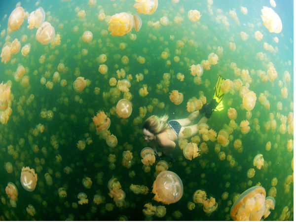 ನ್ಯಾಷನಲ್ ಜಿಯೋಗ್ರಾಫಿಕ್ ಟ್ರಾವೆಲ್ ಮ್ಯಾಗಜಿನ್ ಫೋಟೋ ಸ್ಪರ್ಧೆ -2013 ನ್ಯಾಷನಲ್ ಜಿಯೋಗ್ರಾಫಿಕ್ ಟ್ರಾವೆಲ್ ಮ್ಯಾಗಜಿನ್ ಫೋಟೋ ಸ್ಪರ್ಧೆ -2013