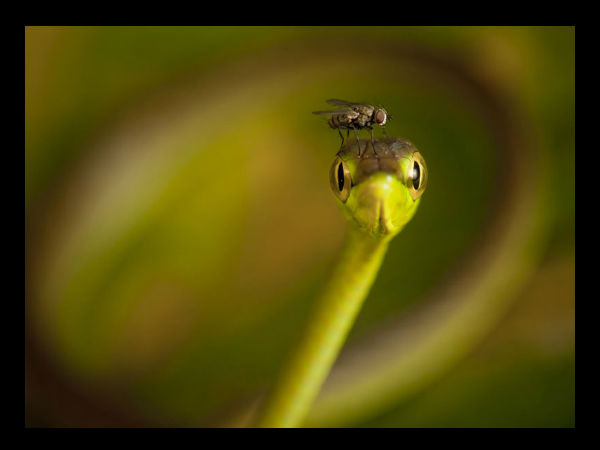 ನ್ಯಾಷನಲ್ ಜಿಯೋಗ್ರಾಫಿಕ್ ಟ್ರಾವೆಲ್ ಮ್ಯಾಗಜಿನ್ ಫೋಟೋ ಸ್ಪರ್ಧೆ -2013 ನ್ಯಾಷನಲ್ ಜಿಯೋಗ್ರಾಫಿಕ್ ಟ್ರಾವೆಲ್ ಮ್ಯಾಗಜಿನ್ ಫೋಟೋ ಸ್ಪರ್ಧೆ -2013
