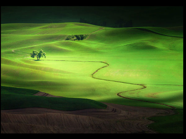 ನ್ಯಾಷನಲ್ ಜಿಯೋಗ್ರಾಫಿಕ್ ಟ್ರಾವೆಲ್ ಮ್ಯಾಗಜಿನ್ ಫೋಟೋ ಸ್ಪರ್ಧೆ -2013 ನ್ಯಾಷನಲ್ ಜಿಯೋಗ್ರಾಫಿಕ್ ಟ್ರಾವೆಲ್ ಮ್ಯಾಗಜಿನ್ ಫೋಟೋ ಸ್ಪರ್ಧೆ -2013