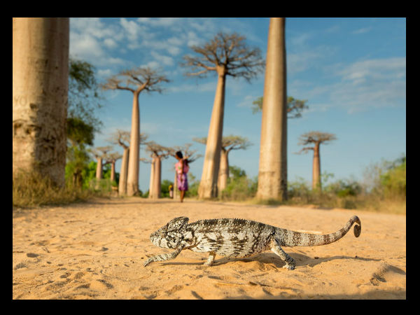 ನ್ಯಾಷನಲ್ ಜಿಯೋಗ್ರಾಫಿಕ್ ಟ್ರಾವೆಲ್ ಮ್ಯಾಗಜಿನ್ ಫೋಟೋ ಸ್ಪರ್ಧೆ -2013 ನ್ಯಾಷನಲ್ ಜಿಯೋಗ್ರಾಫಿಕ್ ಟ್ರಾವೆಲ್ ಮ್ಯಾಗಜಿನ್ ಫೋಟೋ ಸ್ಪರ್ಧೆ -2013