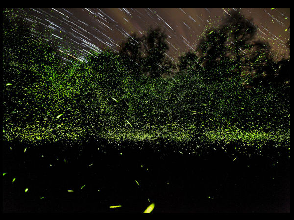 ನ್ಯಾಷನಲ್ ಜಿಯೋಗ್ರಾಫಿಕ್ ಟ್ರಾವೆಲ್ ಮ್ಯಾಗಜಿನ್ ಫೋಟೋ ಸ್ಪರ್ಧೆ -2013 ನ್ಯಾಷನಲ್ ಜಿಯೋಗ್ರಾಫಿಕ್ ಟ್ರಾವೆಲ್ ಮ್ಯಾಗಜಿನ್ ಫೋಟೋ ಸ್ಪರ್ಧೆ -2013