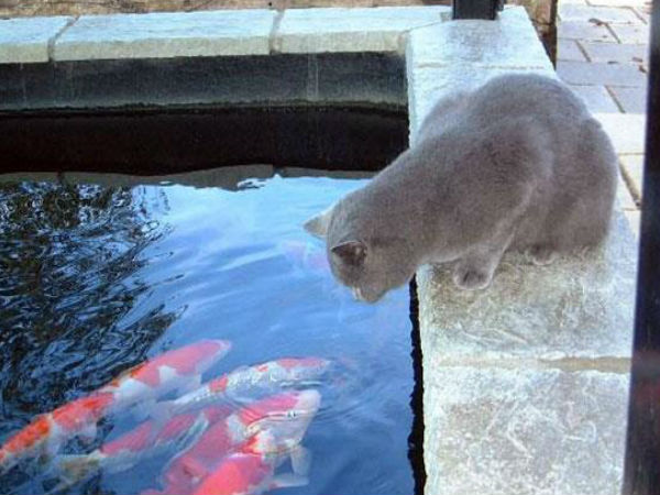 ಫನ್ನಿ ಫೋಟೋ ನೋಡಿ. ಎಂಜಾಯ್‌ ಮಾಡಿ