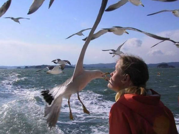 ಫನ್ನಿ ಫೋಟೋ ನೋಡಿ. ಎಂಜಾಯ್‌ ಮಾಡಿ