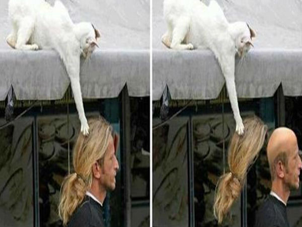 ಫನ್ನಿ ಫೋಟೋ ನೋಡಿ. ಎಂಜಾಯ್‌ ಮಾಡಿ