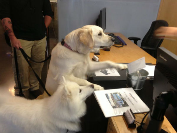 ಅಮೆಜಾನ್‌ ಆಫೀಸ್‌,ಅಮೆರಿಕ
