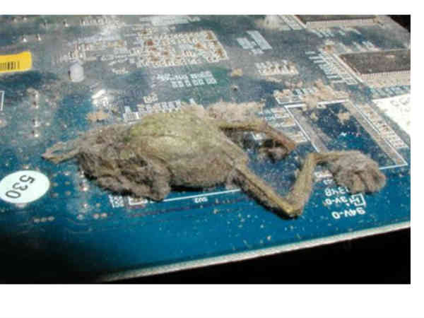 ಸಿಪಿಯು ಒಮ್ಮಿಂದೊಮ್ಮೆ ಹಾಳಾಗುವುದು ಯಾಕೆ?