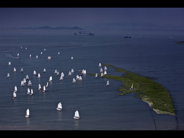 ಪಾಚಿಯಲ್ಲಿ ಸಮುದ್ರ: ಪಾಚಿ ಬೆಳವಣಿಗೆಗೆ ಕಂಗಾಲಾದ ಚೀನಾ