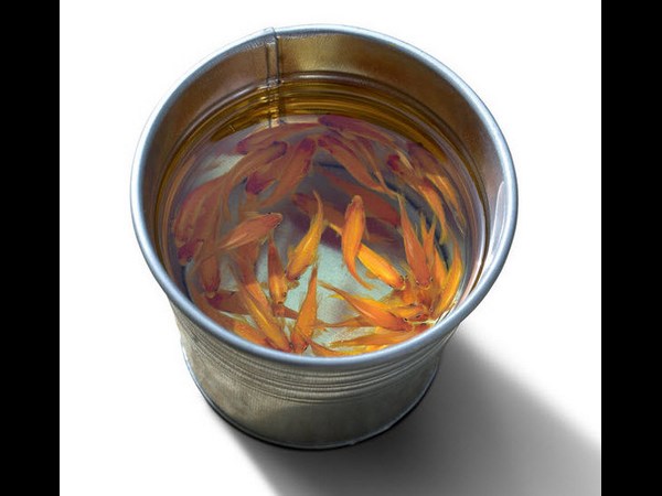 3ಡಿ ಡ್ರಾಯಿಂಗ್‌