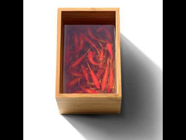 3ಡಿ ಡ್ರಾಯಿಂಗ್‌