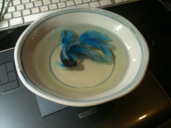 3ಡಿ ಡ್ರಾಯಿಂಗ್‌