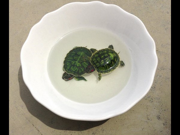 3ಡಿ ಡ್ರಾಯಿಂಗ್‌