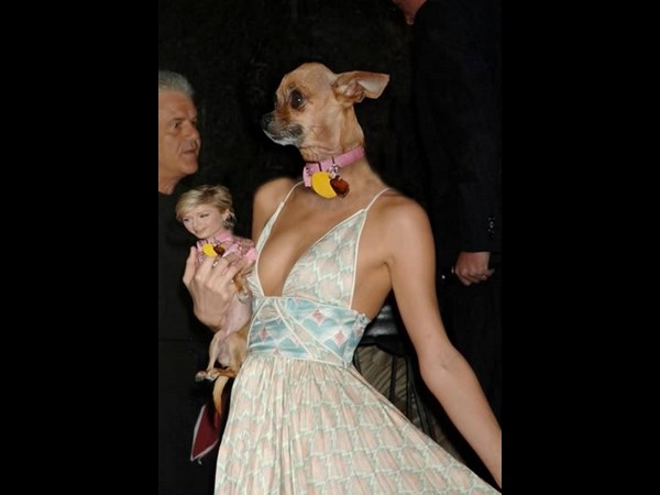 ವಿ'ಚಿತ್ರ' ಪ್ರಾಣಿಗಳು! ವಿ'ಚಿತ್ರ' ಪ್ರಾಣಿಗಳು!