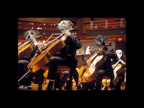 ವಿ'ಚಿತ್ರ' ಪ್ರಾಣಿಗಳು! ವಿ'ಚಿತ್ರ' ಪ್ರಾಣಿಗಳು!