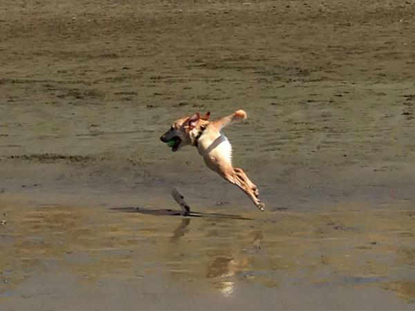 ಪನೋರಮಾ ಶಾಟ್‌ನಲ್ಲಿ ತಪ್ಪಾದ್ರೆ ಹೀಗೆ ಆಗುತ್ತದೆ ನೋಡಿ! 