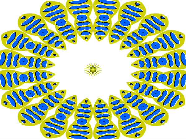 ನಿಮ್ಮನ್ನು ಬೆರಗುಗೊಳಿಸುವ ಚಿತ್ರಗಳು ನಿಮ್ಮನ್ನು ಬೆರಗುಗೊಳಿಸುವ ಚಿತ್ರಗಳು