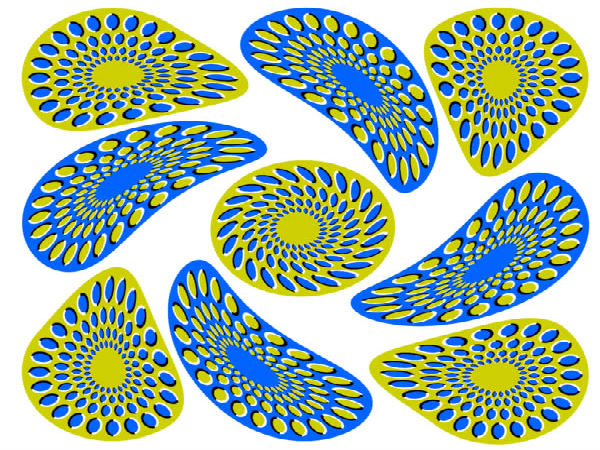 ನಿಮ್ಮನ್ನು ಬೆರಗುಗೊಳಿಸುವ ಚಿತ್ರಗಳು ನಿಮ್ಮನ್ನು ಬೆರಗುಗೊಳಿಸುವ ಚಿತ್ರಗಳು