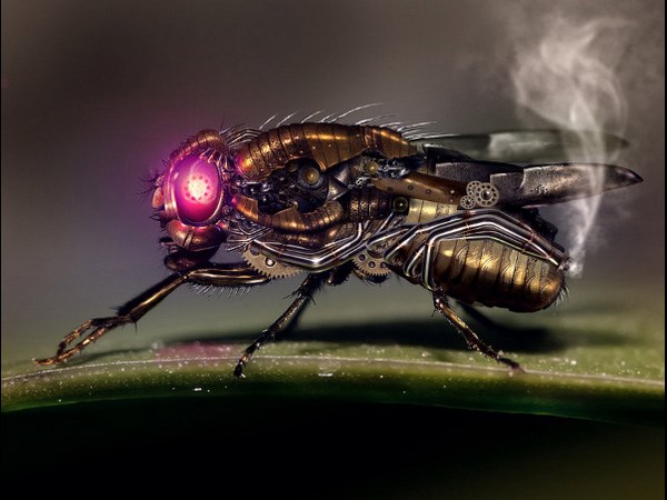 ದೇಶದ ರಹಸ್ಯ ಮಾಹಿತಿ ಕದಿಯುತ್ತಂತೆ ಈ ಸೊಳ್ಳೆಗಳು!