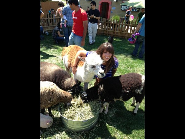  ಫೇಸ್‌‌ಬುಕ್‌ ಪಾರ್ಟಿ‌