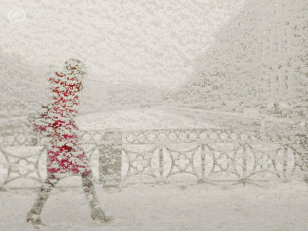 2013 IPPA ಪ್ರಶಸ್ತಿ ಪಡೆದ ಫೋಟೋಗಳು