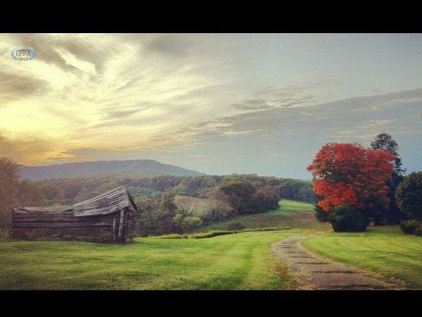 2013 IPPA ಪ್ರಶಸ್ತಿ ಪಡೆದ ಫೋಟೋಗಳು
