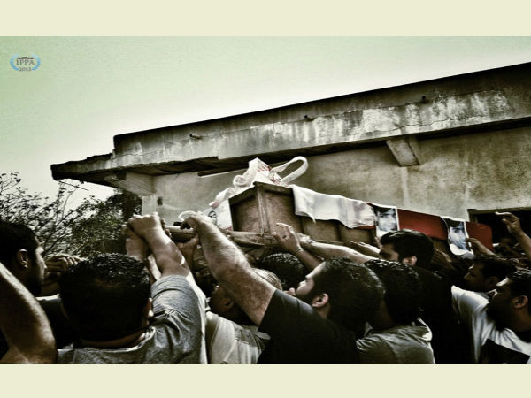 2013 IPPA ಪ್ರಶಸ್ತಿ ಪಡೆದ ಫೋಟೋಗಳು