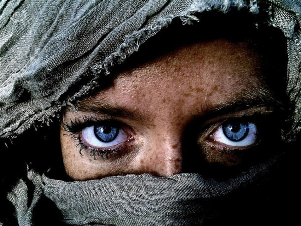 2013 IPPA ಪ್ರಶಸ್ತಿ ಪಡೆದ ಫೋಟೋಗಳು