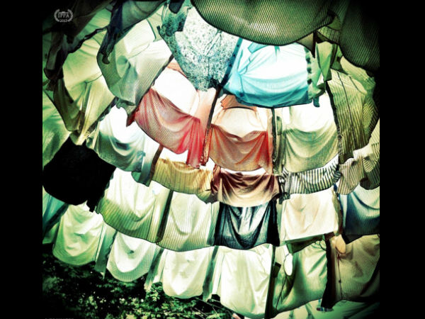 2013 IPPA ಪ್ರಶಸ್ತಿ ಪಡೆದ ಫೋಟೋಗಳು