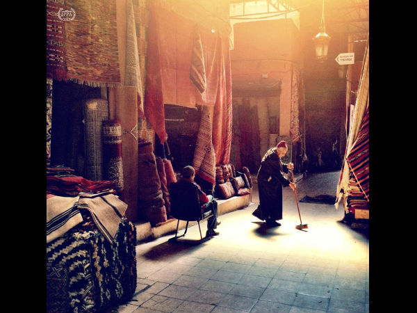 2013 IPPA ಪ್ರಶಸ್ತಿ ಪಡೆದ ಫೋಟೋಗಳು