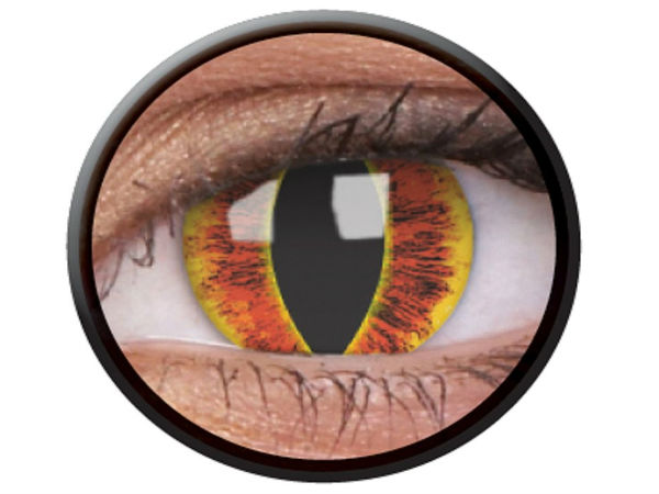 ಕಾಂಟಾಕ್ಟ್‌ ಲೆನ್ಸ್‌ ಅವತಾರ್‌