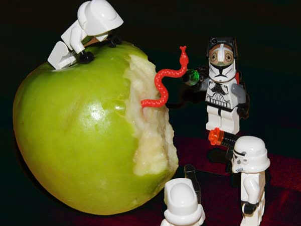   ಫನ್ನಿ ಫನ್ನಿ ಆಪಲ್‌ ಲೋಗೋ