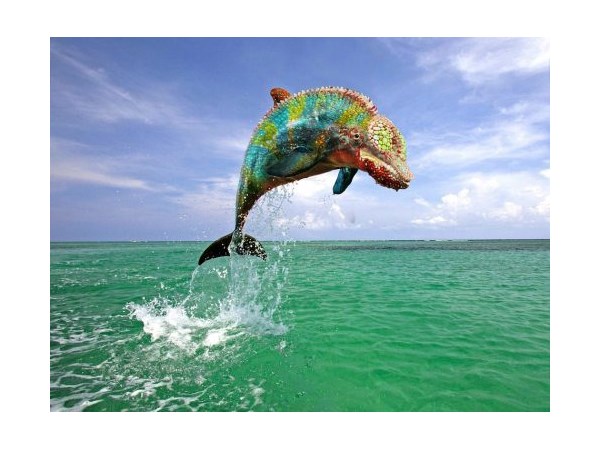 ಕಂಪ್ಯೂಟರ್ ಹೈ ಬ್ರಿಡ್ ಪ್ರಾಣಿ/ಪಕ್ಷಿಗಳು ಕಂಪ್ಯೂಟರ್ ಹೈ ಬ್ರಿಡ್ ಪ್ರಾಣಿ/ಪಕ್ಷಿಗಳು