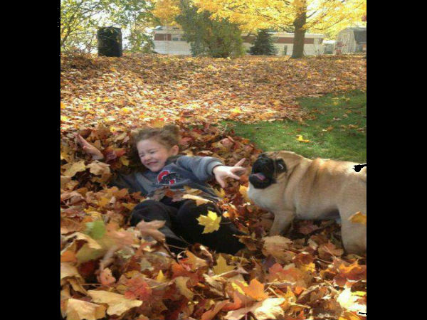 ಕಂಪ್ಯೂಟರ್ ಹೈ ಬ್ರಿಡ್ ಪ್ರಾಣಿ/ಪಕ್ಷಿಗಳು ಕಂಪ್ಯೂಟರ್ ಹೈ ಬ್ರಿಡ್ ಪ್ರಾಣಿ/ಪಕ್ಷಿಗಳು