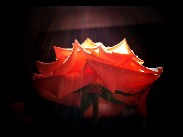 ಸ್ಮಾರ್ಟ್ಫೋನಲ್ಲೇ ಗುಣಮಟ್ಟದ ಫೋಟೋ ಕ್ಲಿಕ್ ಮಾಡಿ! ಸ್ಮಾರ್ಟ್ಫೋನಲ್ಲೇ ಗುಣಮಟ್ಟದ ಫೋಟೋ ಕ್ಲಿಕ್ ಮಾಡಿ!