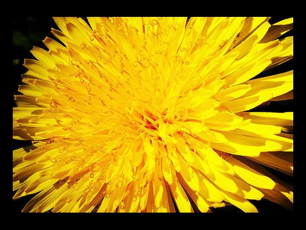 ಸ್ಮಾರ್ಟ್ಫೋನಲ್ಲೇ ಗುಣಮಟ್ಟದ ಫೋಟೋ ಕ್ಲಿಕ್ ಮಾಡಿ! ಸ್ಮಾರ್ಟ್ಫೋನಲ್ಲೇ ಗುಣಮಟ್ಟದ ಫೋಟೋ ಕ್ಲಿಕ್ ಮಾಡಿ!