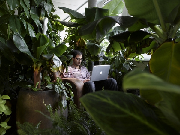  ಗೂಗಲ್‌ ಆಫೀಸ್‌ ಟೂರ್‌