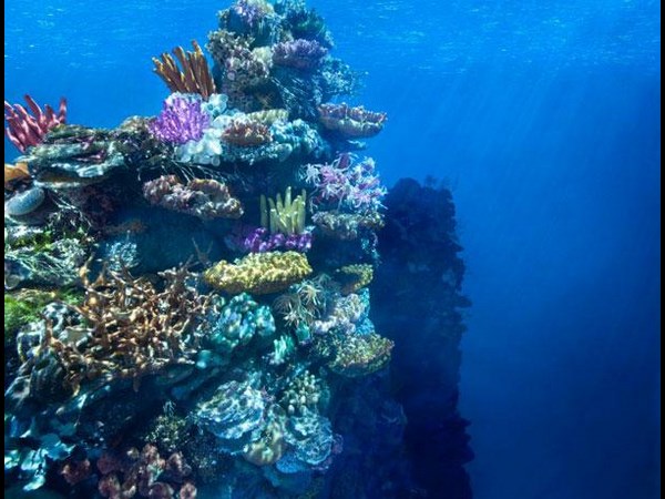  ಹಾಲಿವುಡ್‌ ಸಿನಿಮಾ ವಿಶ್ಯೂವಲ್‌ ಎಫೆಕ್ಟ್‌