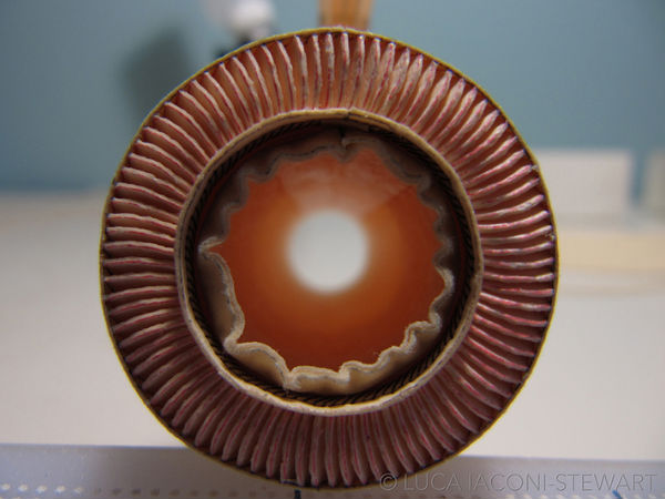 ಪೇಪರ್‌ನಲ್ಲೇ ಏರ್‌ ಇಂಡಿಯಾ ವಿಮಾನ ನಿರ್ಮಿಸಿದ ವಿದ್ಯಾರ್ಥಿ