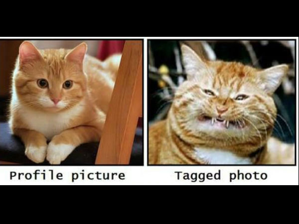  Facebook funny memes