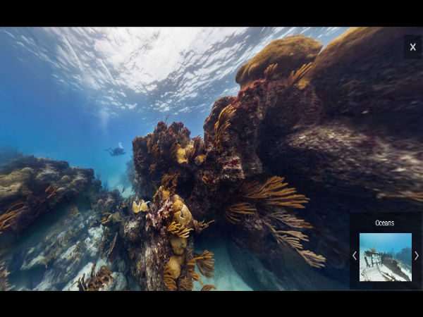  ಸಮುದ್ರದ ಕೆಳಗಿನ ಪ್ರಪಂಚವನ್ನು ನೋಡಿದ್ದೀರಾ?