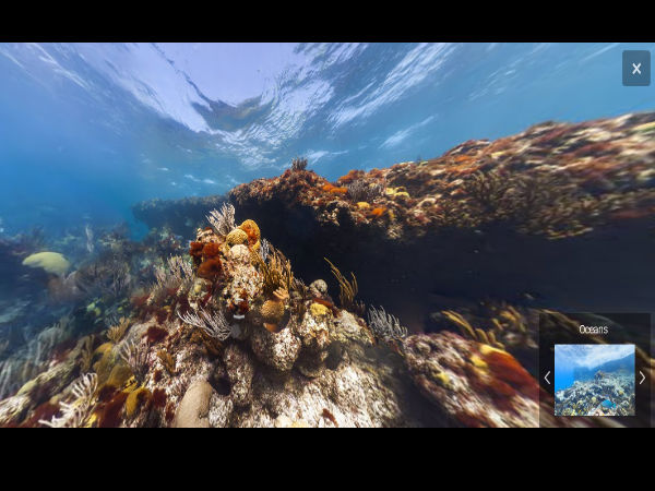  ಸಮುದ್ರದ ಕೆಳಗಿನ ಪ್ರಪಂಚವನ್ನು ನೋಡಿದ್ದೀರಾ?