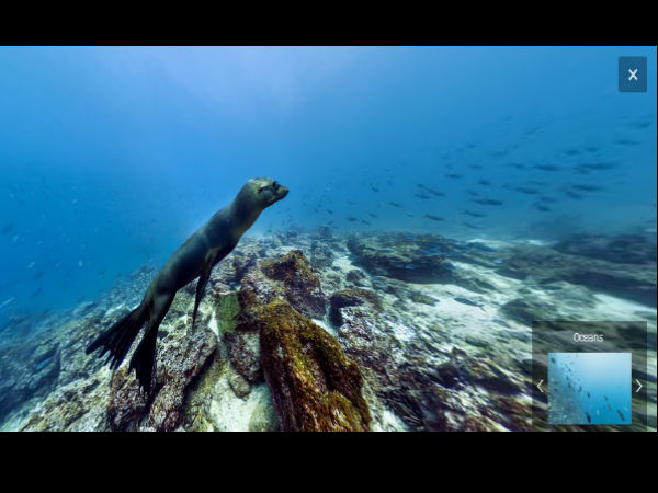  ಸಮುದ್ರದ ಕೆಳಗಿನ ಪ್ರಪಂಚವನ್ನು ನೋಡಿದ್ದೀರಾ?