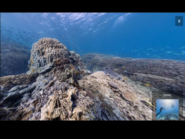  ಗೂಗಲ್‌‌ ಮ್ಯಾಪ್‌‌ನಲ್ಲಿ ಸಮುದ್ರದ ಕೆಳಗಿನ ಪ್ರಪಂಚವನ್ನು ನೋಡಿ