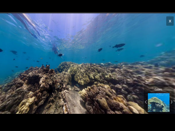  ಗೂಗಲ್‌‌ ಮ್ಯಾಪ್‌‌ನಲ್ಲಿ ಸಮುದ್ರದ ಕೆಳಗಿನ ಪ್ರಪಂಚವನ್ನು ನೋಡಿ