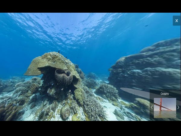  ಗೂಗಲ್‌‌ ಮ್ಯಾಪ್‌‌ನಲ್ಲಿ ಸಮುದ್ರದ ಕೆಳಗಿನ ಪ್ರಪಂಚವನ್ನು ನೋಡಿ