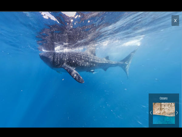  ಗೂಗಲ್‌‌ ಮ್ಯಾಪ್‌‌ನಲ್ಲಿ ಸಮುದ್ರದ ಕೆಳಗಿನ ಪ್ರಪಂಚವನ್ನು ನೋಡಿ