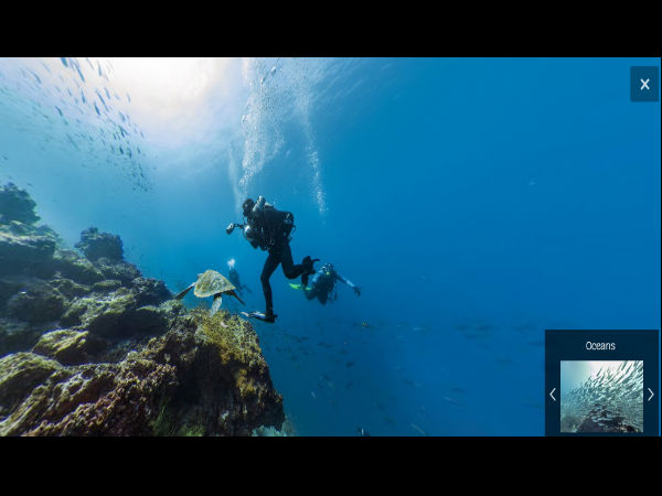  ಸಮುದ್ರದ ಕೆಳಗಿನ ಪ್ರಪಂಚವನ್ನು ನೋಡಿದ್ದೀರಾ?