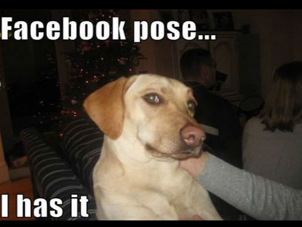   social media funny memes