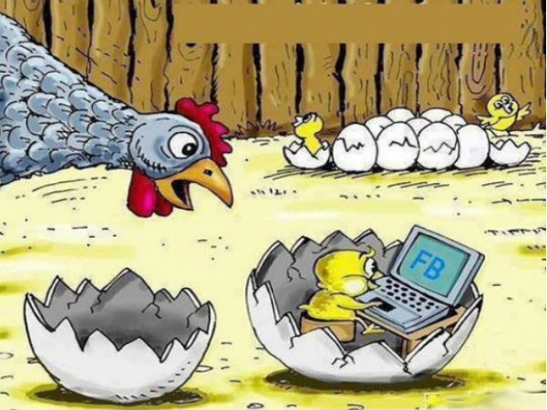   social media funny memes