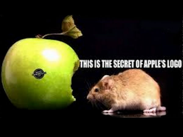 Funny apple memes Funny apple memes